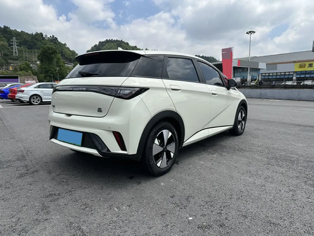 2023 BYD Dolphin BEV 44.928KWH,autocango,china used car exporter,china ev exporter,chinese used car exporter,chinese used ev exporter