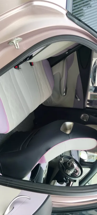 2023 BYD Dolphin BEV 44.928KWH,autocango,china used car exporter,china ev exporter,chinese used car exporter,chinese used ev exporter