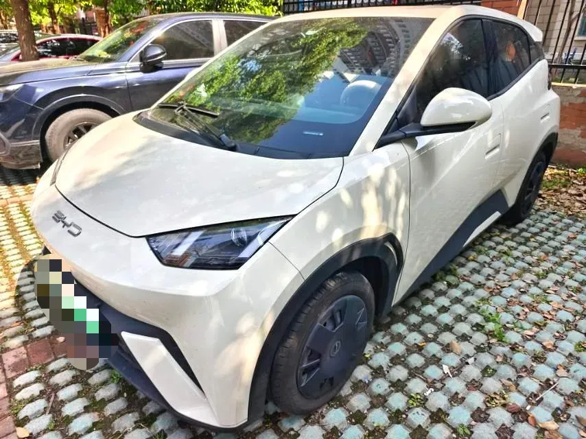 2024 BYD Seagull BEV 30.08KWH,autocango,china used car exporter,china ev exporter,chinese used car exporter,chinese used ev exporter