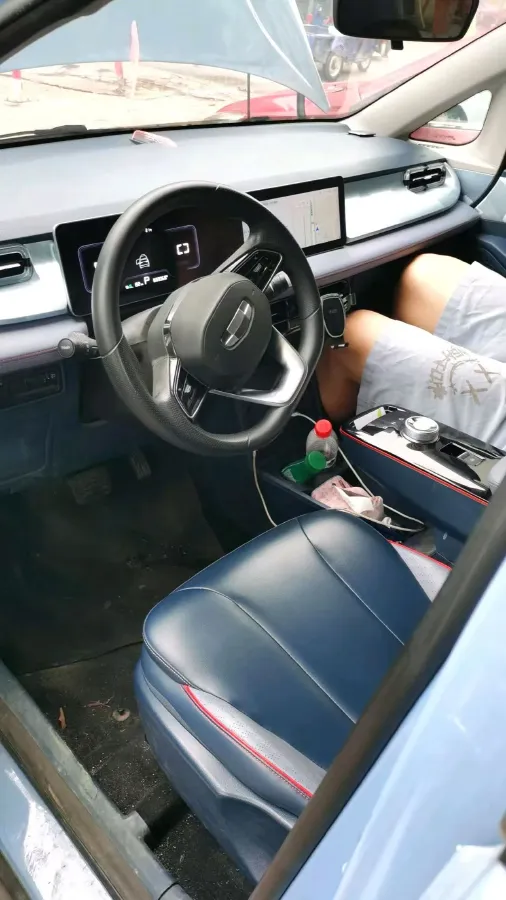 2022 Geometry E BEV 39.4KWH,autocango,china used car exporter,china ev exporter,chinese used car exporter,chinese used ev exporter