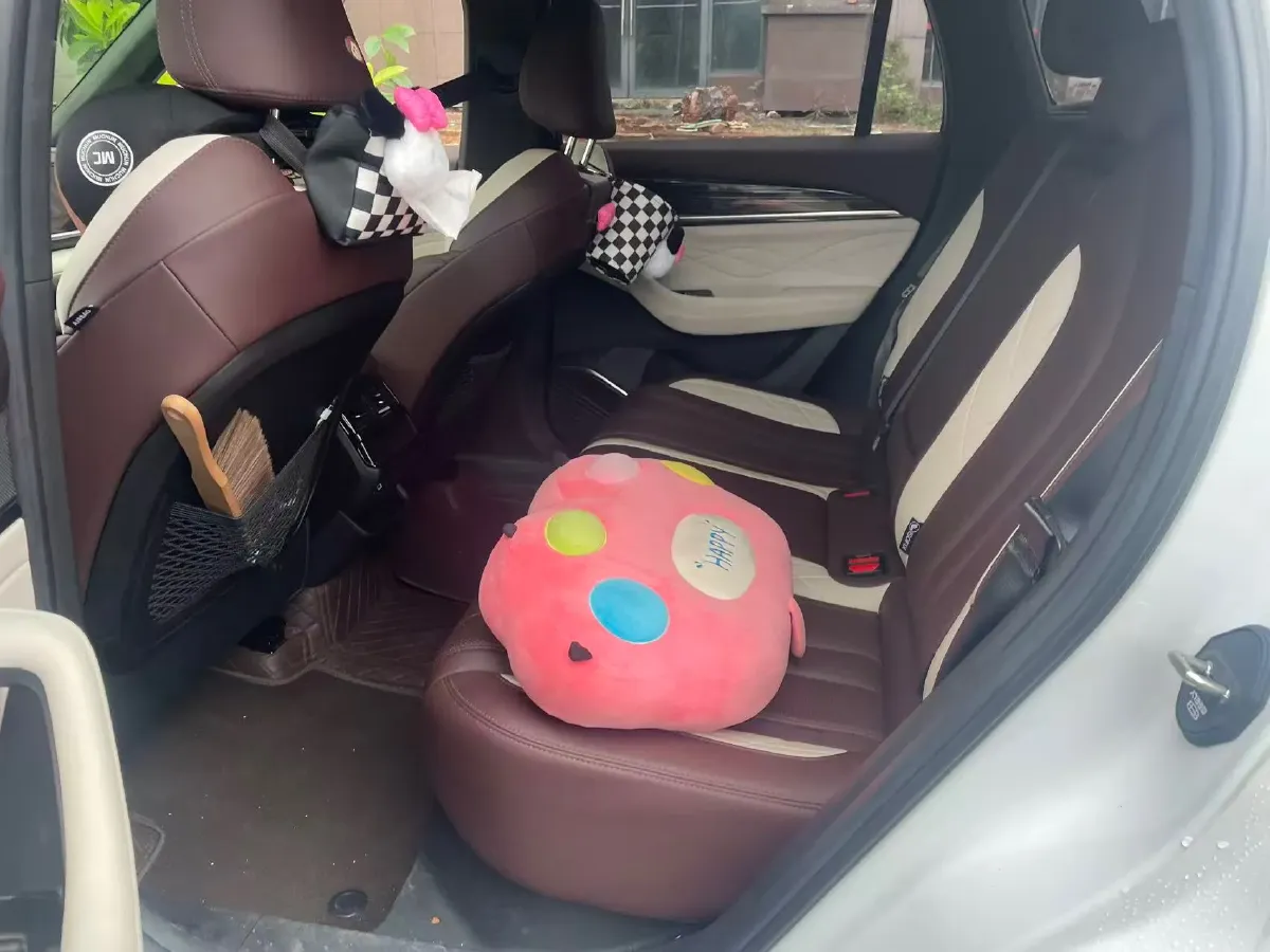 2024 Geely Monjaro 2.0T 238HP L4 8AT,autocango,china used car exporter,china ev exporter,chinese used car exporter,chinese used ev exporter