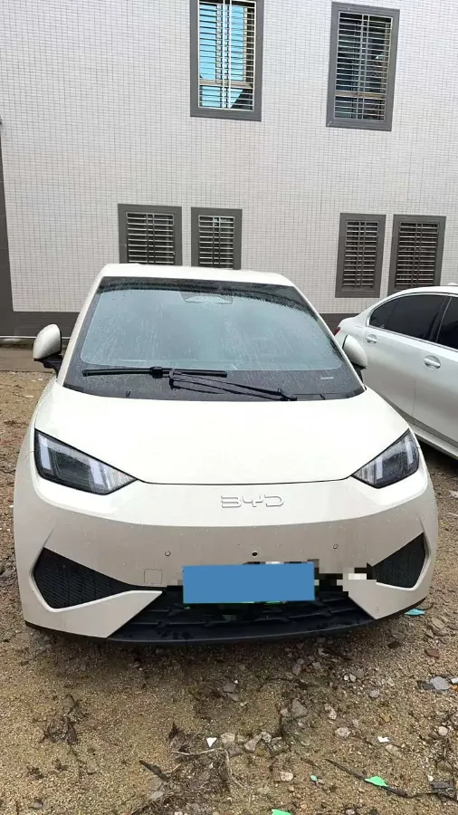 2025 BYD Seagull BEV 30.08KWH,autocango,china used car exporter,china ev exporter,chinese used car exporter,chinese used ev exporter