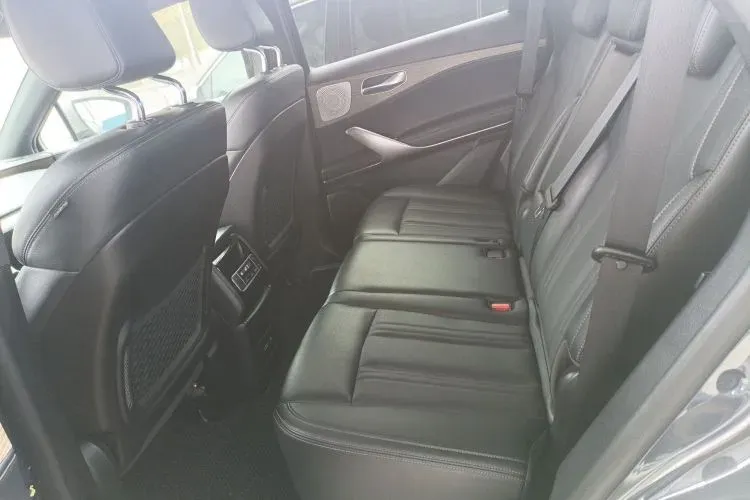 2020 Denza X 2.0T 192HP L4 6DCT PHEV 20KWH,autocango,china used car exporter,china ev exporter,chinese used car exporter,chinese used ev exporter