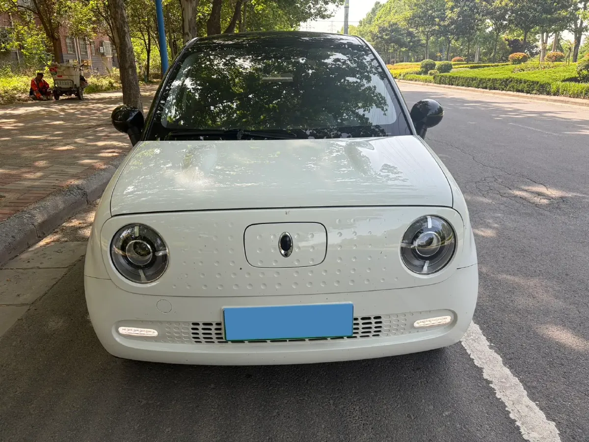 2021 Ora BlackCat BEV 33KWH,autocango,china used car exporter,china ev exporter,chinese used car exporter,chinese used ev exporter