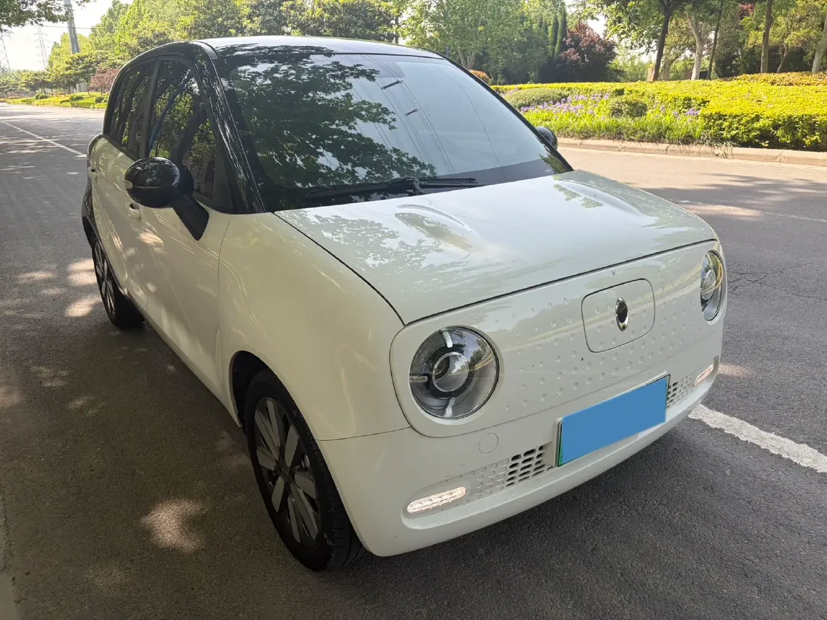 2021 Ora BlackCat BEV 33KWH,autocango,china used car exporter,china ev exporter,chinese used car exporter,chinese used ev exporter