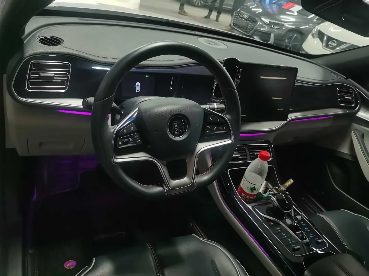 2021 DongFeng FuKang e Elysee BEV 30.7KWH,autocango,china used car exporter,china ev exporter,chinese used car exporter,chinese used ev exporter