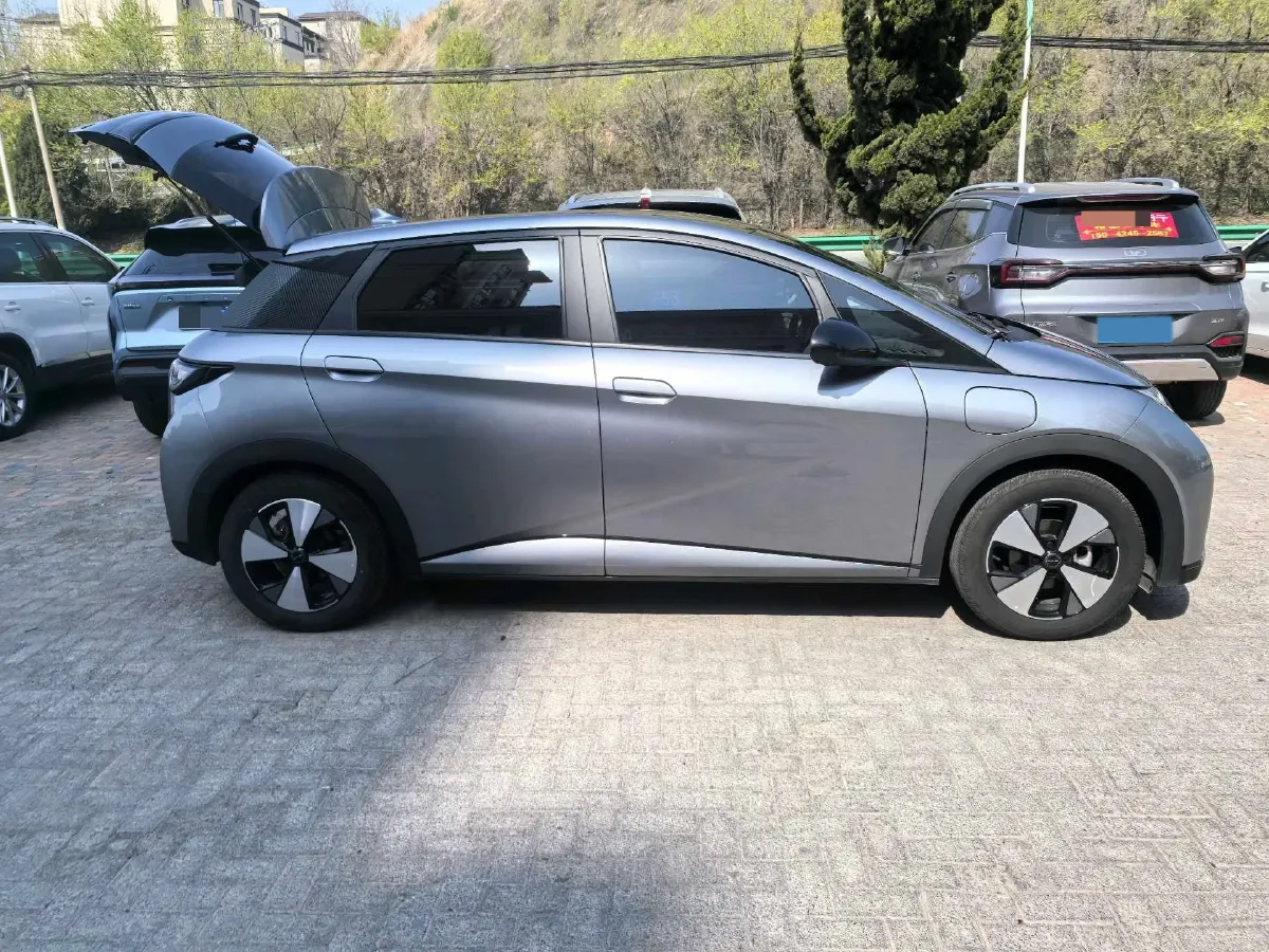 2023 BYD Dolphin BEV 44.928KWH,autocango,china used car exporter,china ev exporter,chinese used car exporter,chinese used ev exporter