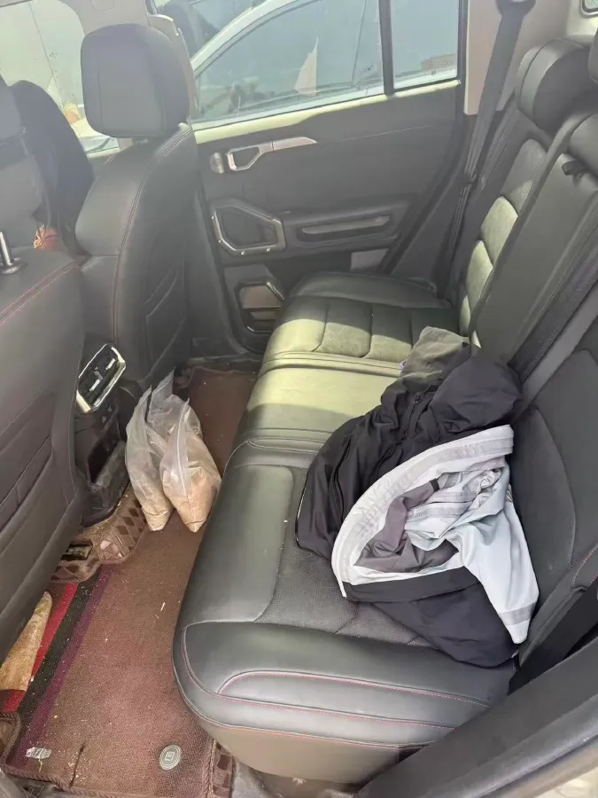 2023 Jetour Traveller 2.0T 254HP L4 7DCT,autocango,china used car exporter,china ev exporter,chinese used car exporter,chinese used ev exporter