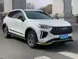 2022 Haval Rabbit 1.5T 150HP L4 7DCT