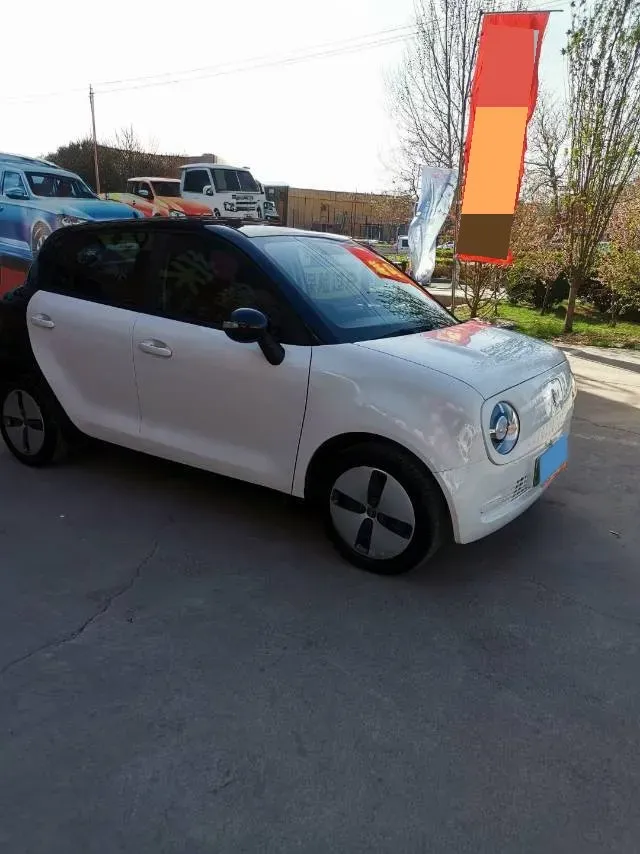 2019 Ora BlackCat BEV 28.5KWH,autocango,china used car exporter,china ev exporter,chinese used car exporter,chinese used ev exporter