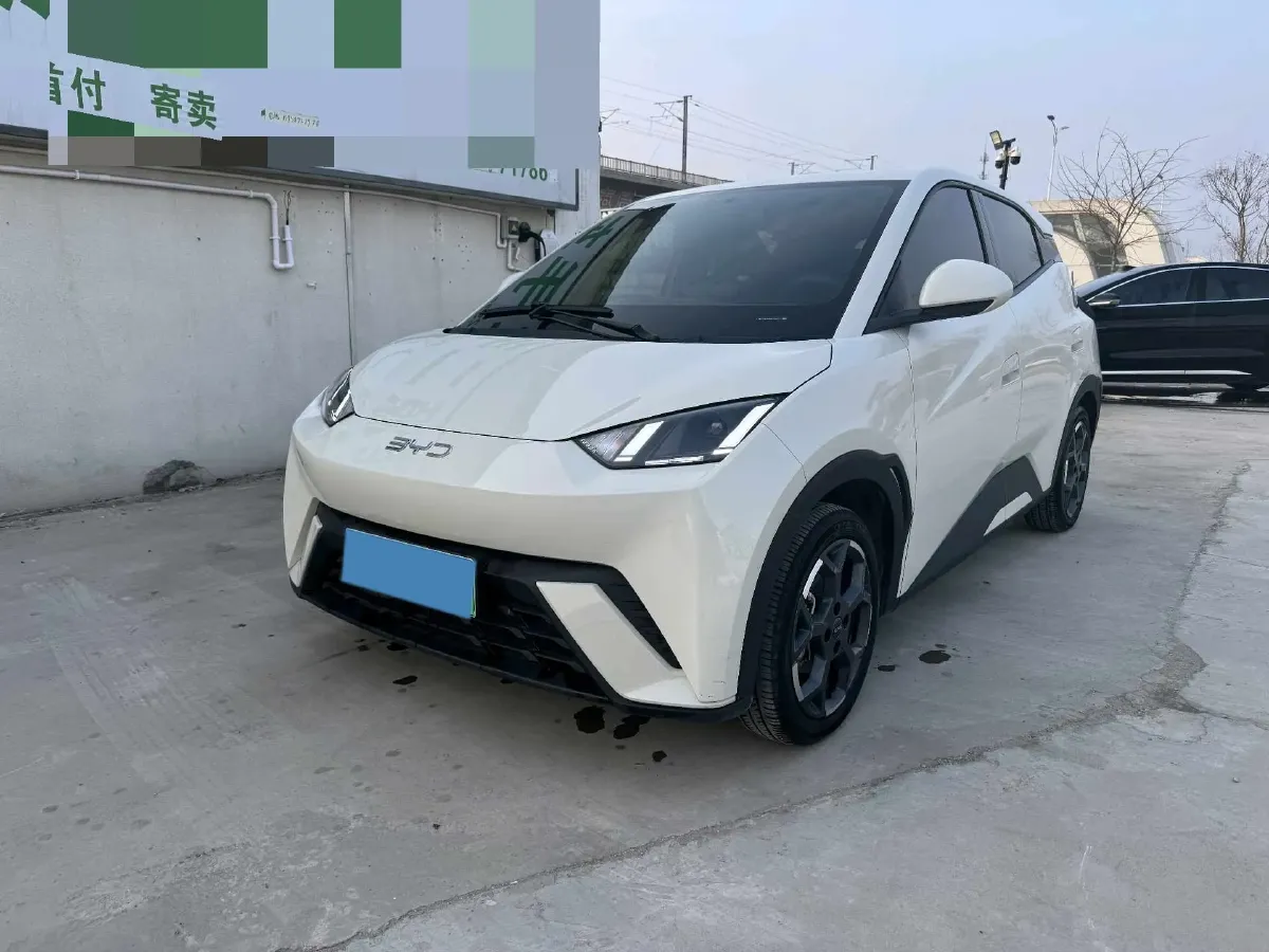 2024 BYD Seagull BEV 30.08KWH,autocango,china used car exporter,china ev exporter,chinese used car exporter,chinese used ev exporter