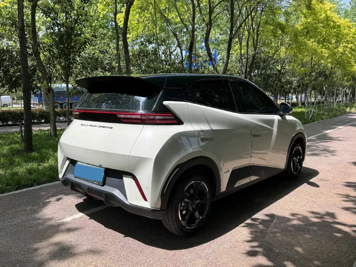 2024 BYD Seagull BEV 38.88KWH,autocango,china used car exporter,china ev exporter,chinese used car exporter,chinese used ev exporter