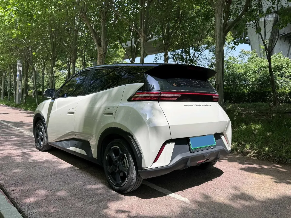 2024 BYD Seagull BEV 38.88KWH,autocango,china used car exporter,china ev exporter,chinese used car exporter,chinese used ev exporter