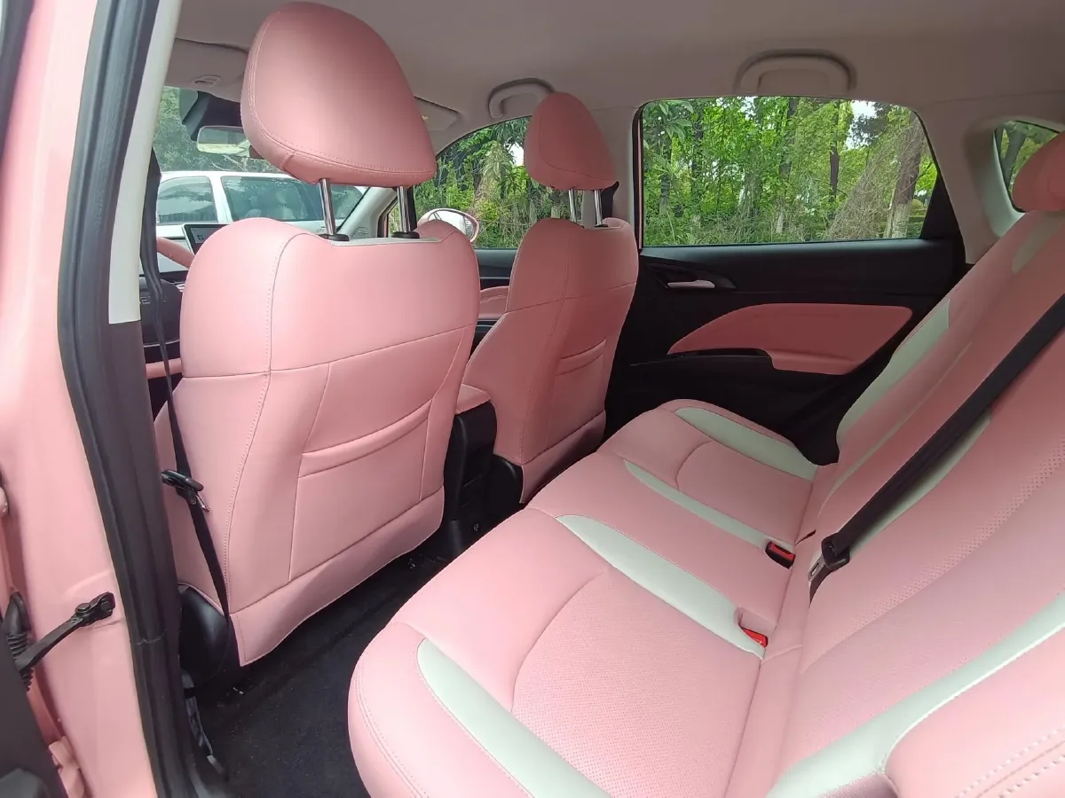 2020 Neta N01 BEV 35KWH,autocango,china used car exporter,china ev exporter,chinese used car exporter,chinese used ev exporter