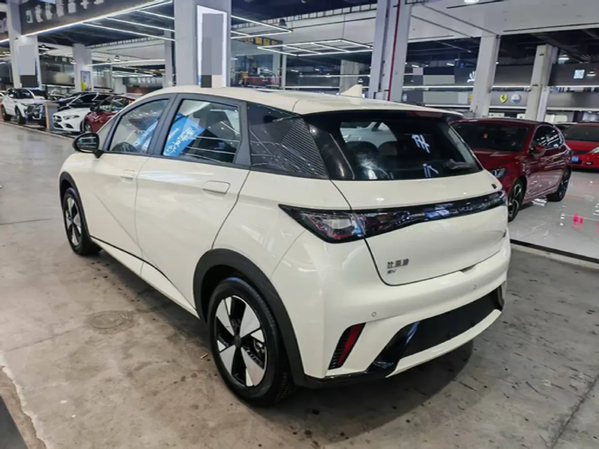 2023 BYD Dolphin BEV 44.928KWH,autocango,china used car exporter,china ev exporter,chinese used car exporter,chinese used ev exporter