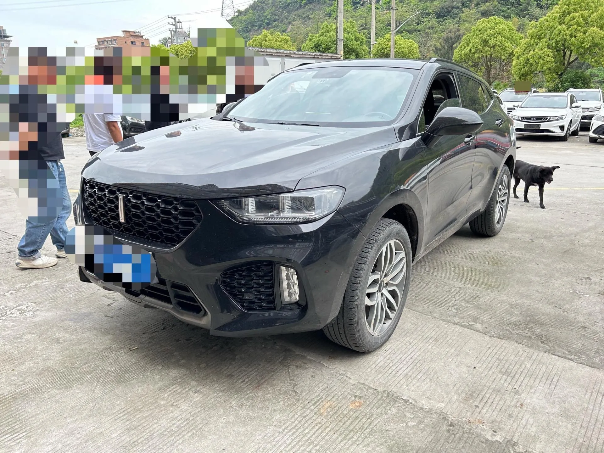 autocango,china used car exporter,china ev exporter,chinese used car exporter,chinese used ev exporter