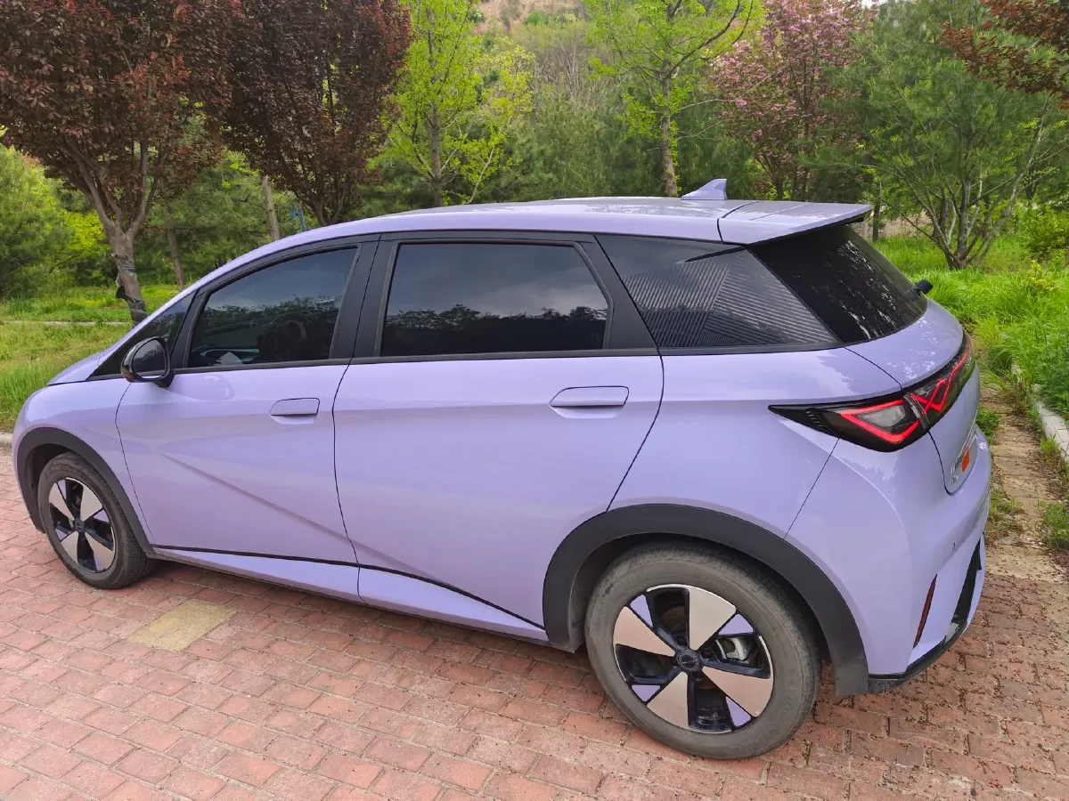 2023 BYD Dolphin BEV 44.928KWH,autocango,china used car exporter,china ev exporter,chinese used car exporter,chinese used ev exporter