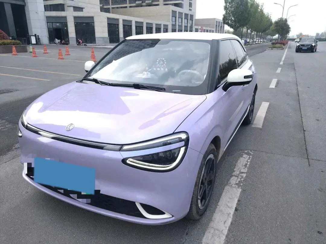 2024 DongFeng Nammi 01 BEV 42.3KWH,autocango,china used car exporter,china ev exporter,chinese used car exporter,chinese used ev exporter