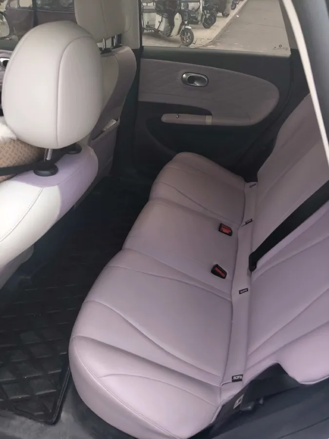 2024 DongFeng Nammi 01 BEV 42.3KWH,autocango,china used car exporter,china ev exporter,chinese used car exporter,chinese used ev exporter