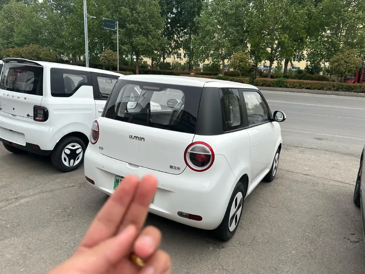 2026 ChangAn QiYuan Lumin BEV,autocango,china used car exporter,china ev exporter,chinese used car exporter,chinese used ev exporter