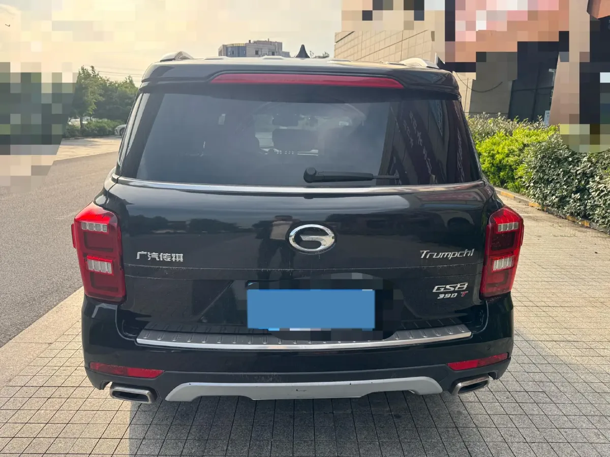 2019 GAC Trumpchi GS8 2.0T 252HP L4 6AT,autocango,china used car exporter,china ev exporter,chinese used car exporter,chinese used ev exporter