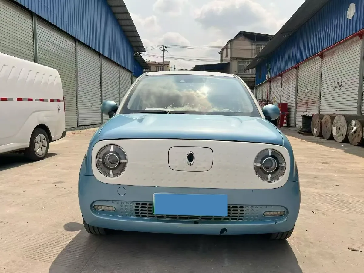 2019 Ora BlackCat BEV 33KWH,autocango,china used car exporter,china ev exporter,chinese used car exporter,chinese used ev exporter