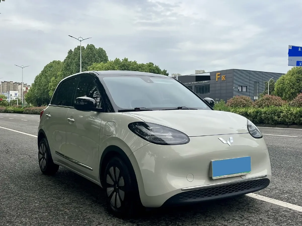 2023 WuLing BinGuo BEV 31.9KWH,autocango,china used car exporter,china ev exporter,chinese used car exporter,chinese used ev exporter