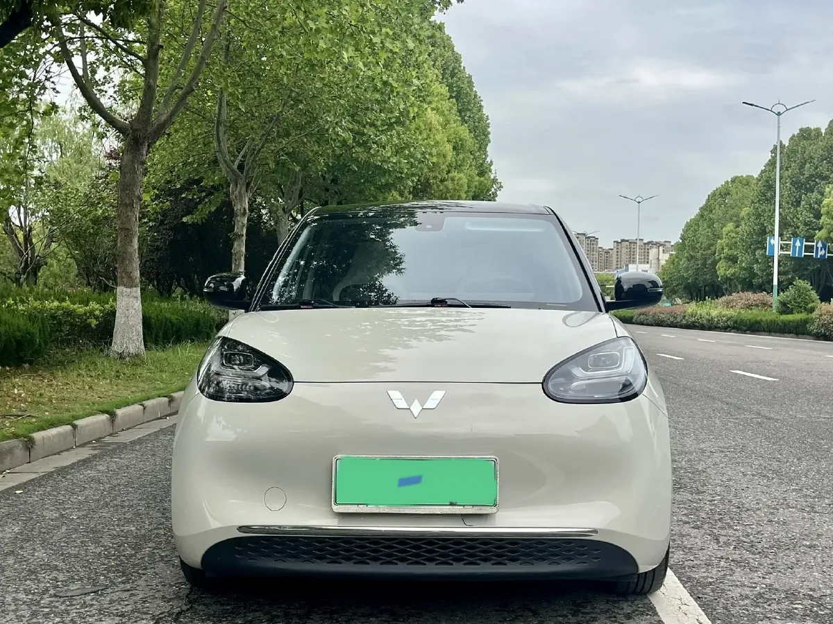 2023 WuLing BinGuo BEV 31.9KWH,autocango,china used car exporter,china ev exporter,chinese used car exporter,chinese used ev exporter