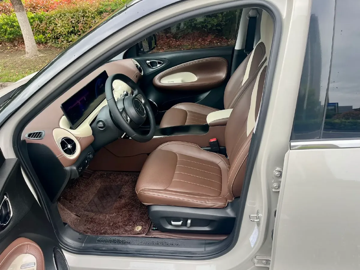 2023 WuLing BinGuo BEV 31.9KWH,autocango,china used car exporter,china ev exporter,chinese used car exporter,chinese used ev exporter