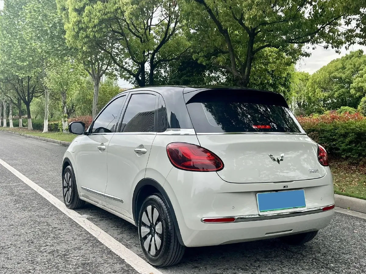 2023 WuLing BinGuo BEV 31.9KWH,autocango,china used car exporter,china ev exporter,chinese used car exporter,chinese used ev exporter