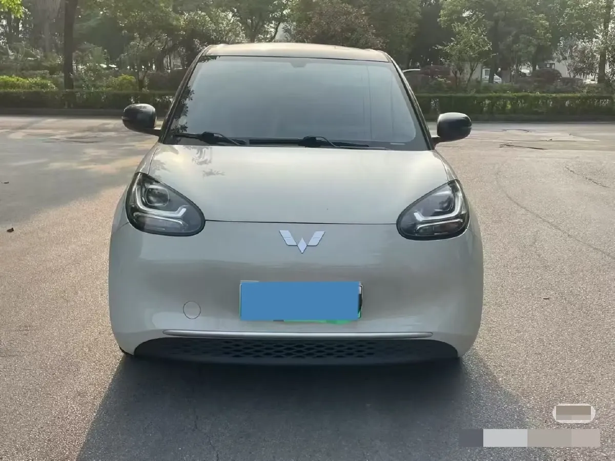 2023 WuLing BinGuo BEV 31.9KWH,autocango,china used car exporter,china ev exporter,chinese used car exporter,chinese used ev exporter