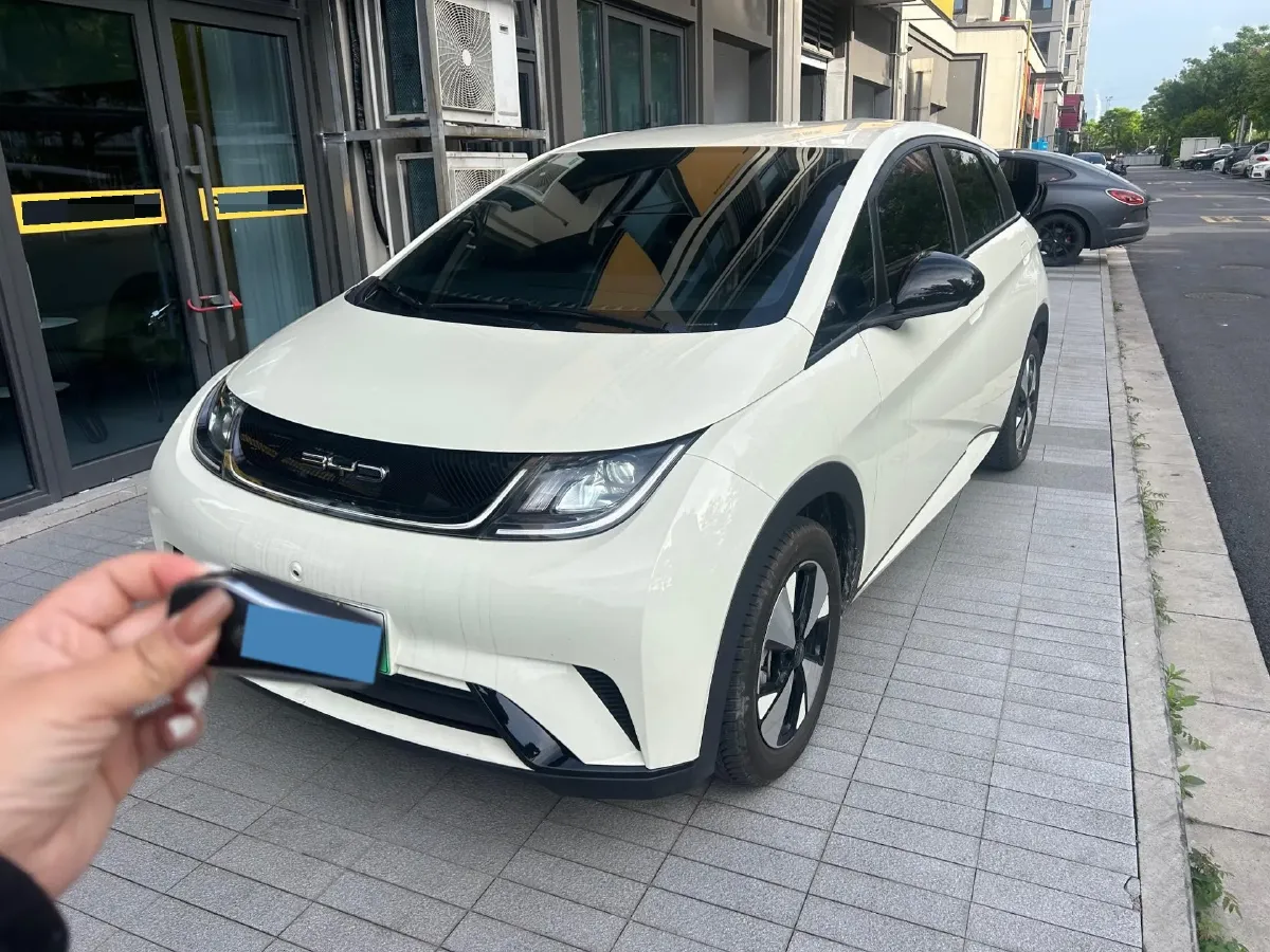 2023 BYD Dolphin BEV 44.928KWH,autocango,china used car exporter,china ev exporter,chinese used car exporter,chinese used ev exporter