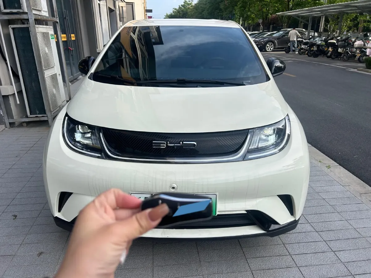 2023 BYD Dolphin BEV 44.928KWH,autocango,china used car exporter,china ev exporter,chinese used car exporter,chinese used ev exporter