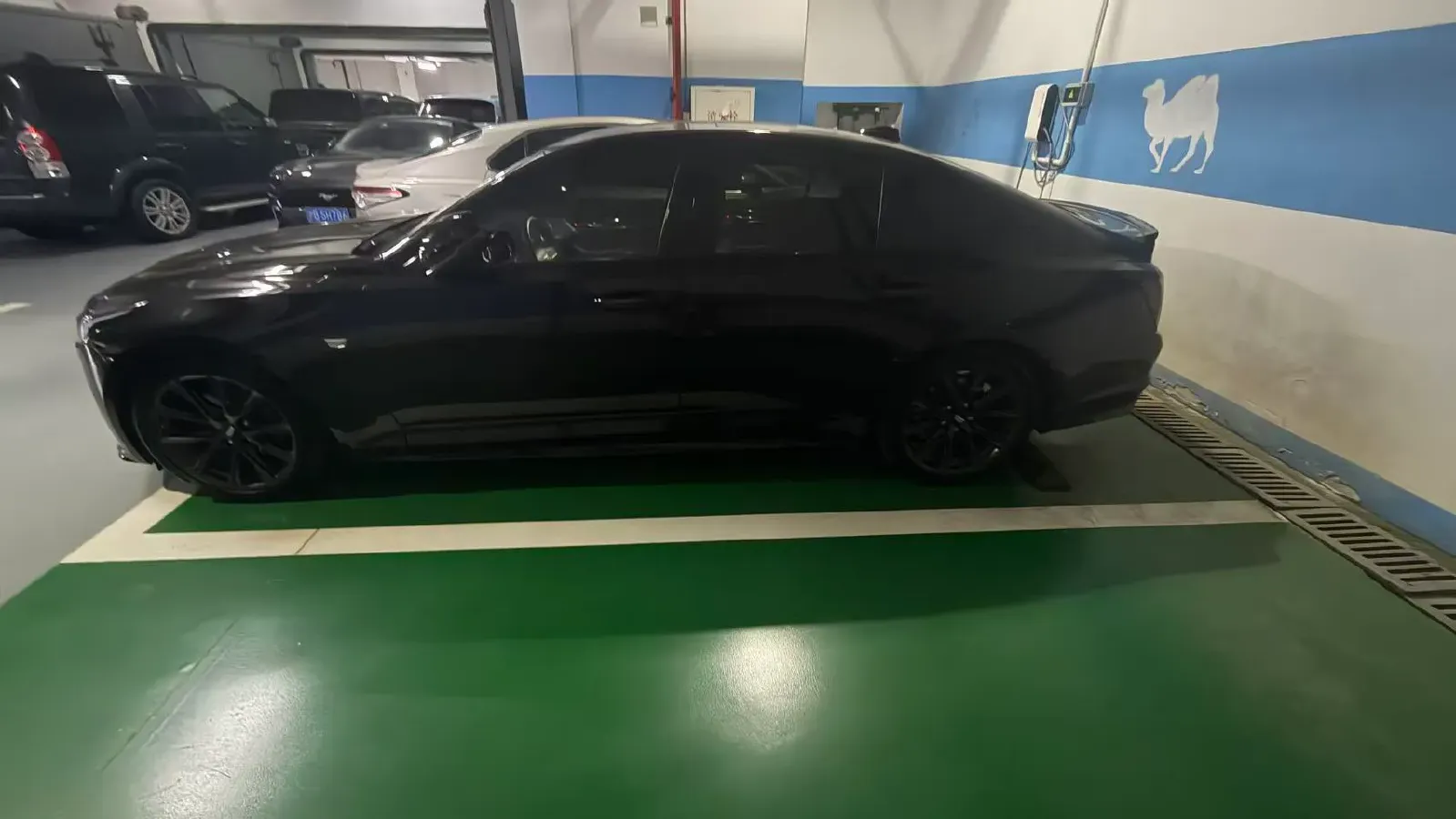 2020 Cadillac CT5 2.0T 241HP L4 10AT,autocango,china used car exporter,china ev exporter,chinese used car exporter,chinese used ev exporter