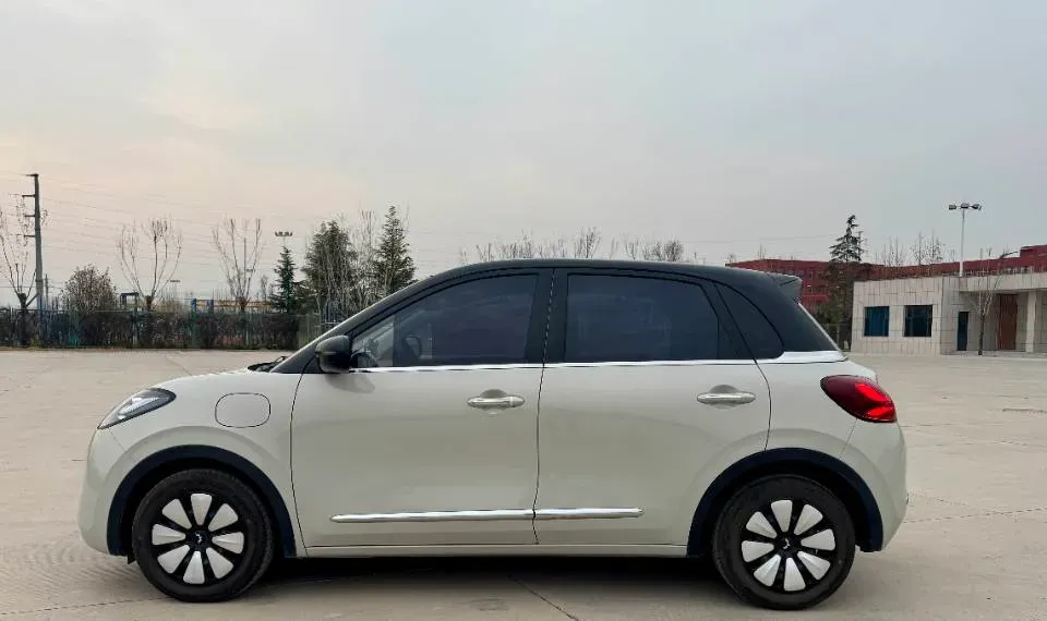 2023 WuLing BinGuo BEV 31.9KWH,autocango,china used car exporter,china ev exporter,chinese used car exporter,chinese used ev exporter