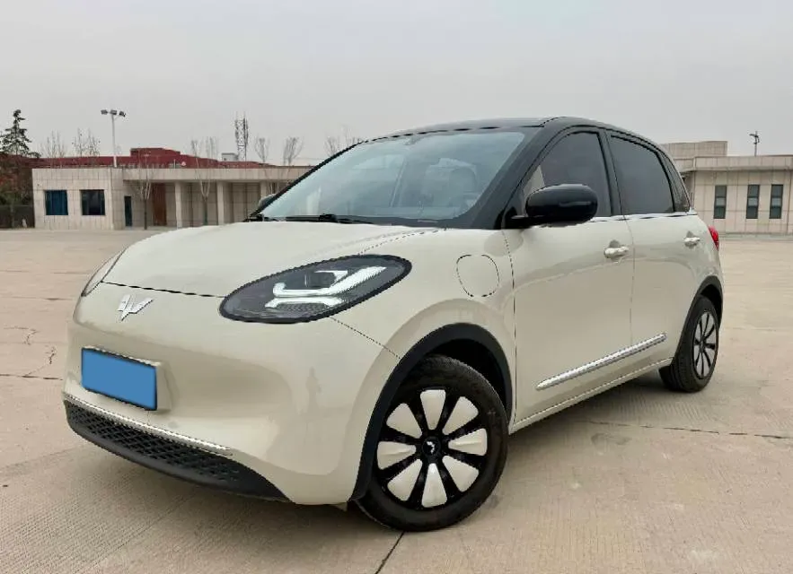 2023 WuLing BinGuo BEV 31.9KWH,autocango,china used car exporter,china ev exporter,chinese used car exporter,chinese used ev exporter