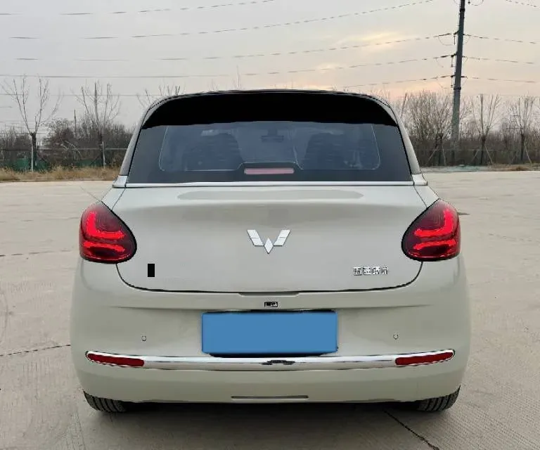 2023 WuLing BinGuo BEV 31.9KWH,autocango,china used car exporter,china ev exporter,chinese used car exporter,chinese used ev exporter