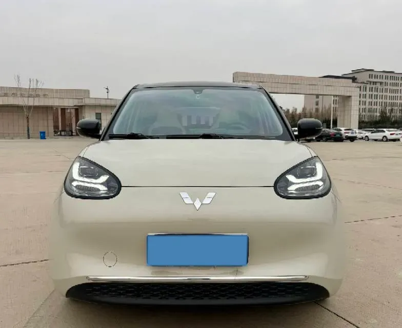 2023 WuLing BinGuo BEV 31.9KWH,autocango,china used car exporter,china ev exporter,chinese used car exporter,chinese used ev exporter