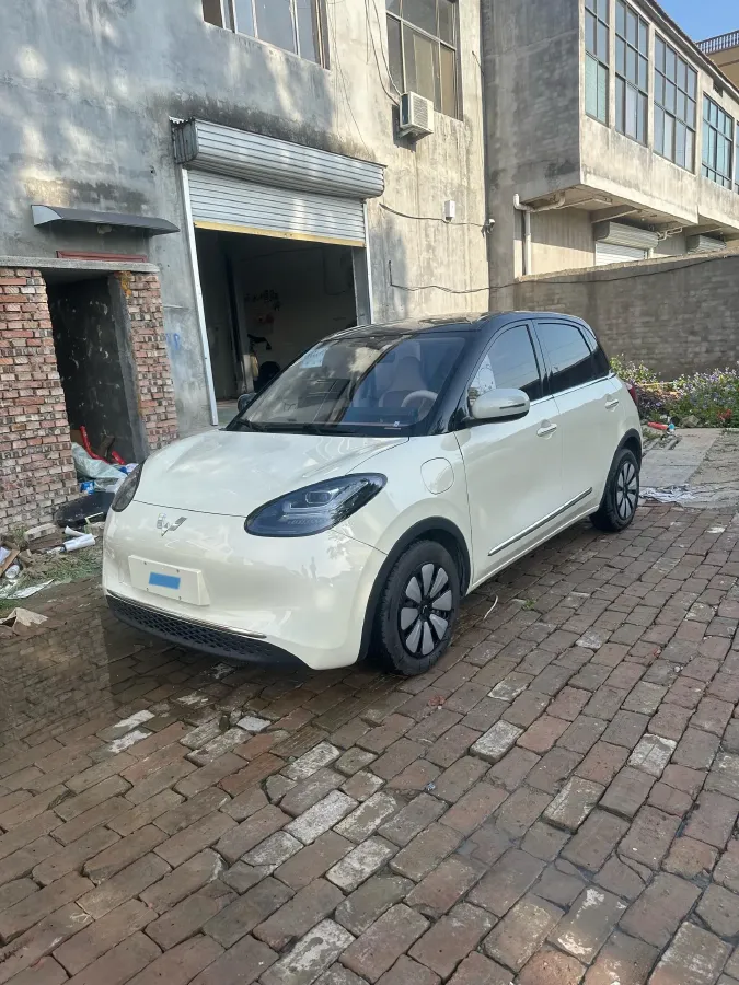 2025 WuLing BinGuo BEV,autocango,china used car exporter,china ev exporter,chinese used car exporter,chinese used ev exporter