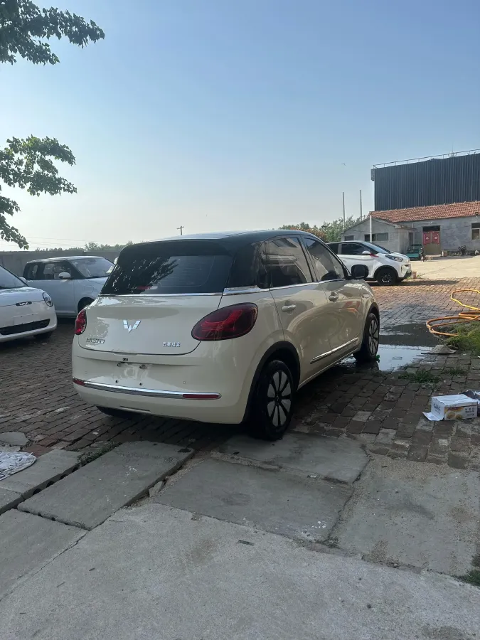 2025 WuLing BinGuo BEV,autocango,china used car exporter,china ev exporter,chinese used car exporter,chinese used ev exporter