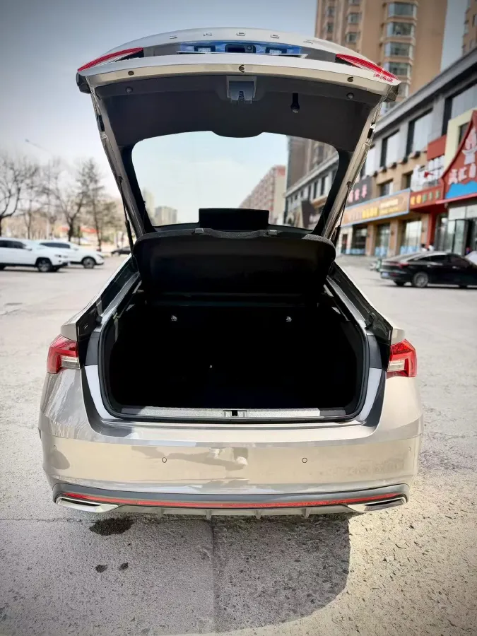 2022 Skoda Octavia 1.4T 150HP L4 7DCT,autocango,china used car exporter,china ev exporter,chinese used car exporter,chinese used ev exporter