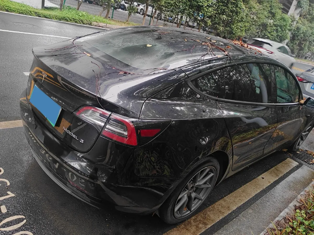 2022 Tesla Model 3 BEV 60KWH,autocango,china used car exporter,china ev exporter,chinese used car exporter,chinese used ev exporter