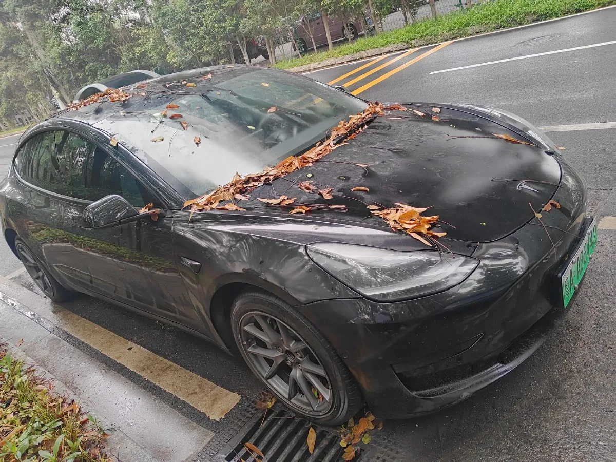 2022 Tesla Model 3 BEV 60KWH,autocango,china used car exporter,china ev exporter,chinese used car exporter,chinese used ev exporter