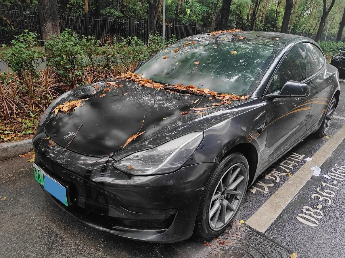 2022 Tesla Model 3 BEV 60KWH,autocango,china used car exporter,china ev exporter,chinese used car exporter,chinese used ev exporter