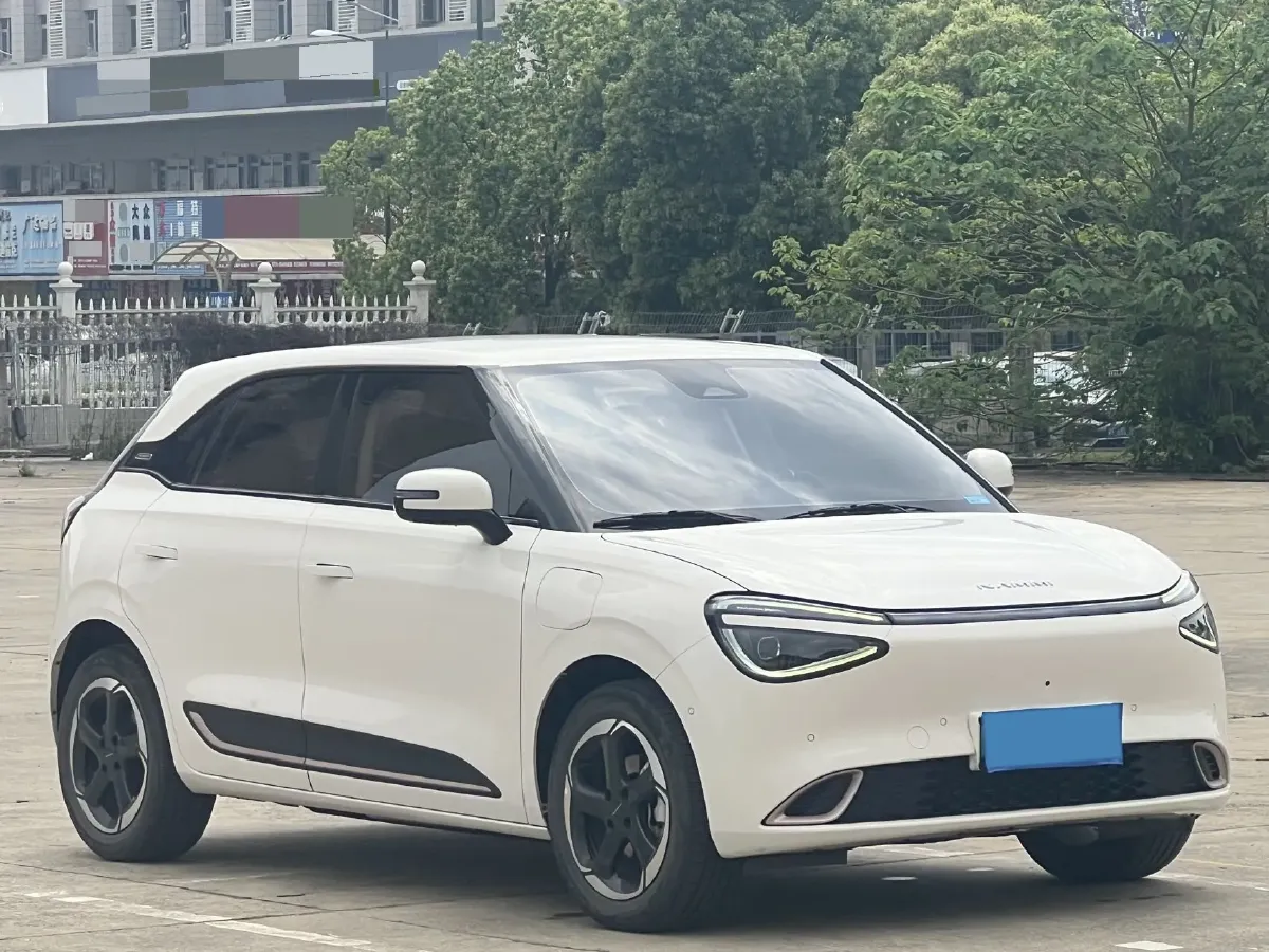 2024 DongFeng Nammi 01 BEV 42.3KWH,autocango,china used car exporter,china ev exporter,chinese used car exporter,chinese used ev exporter