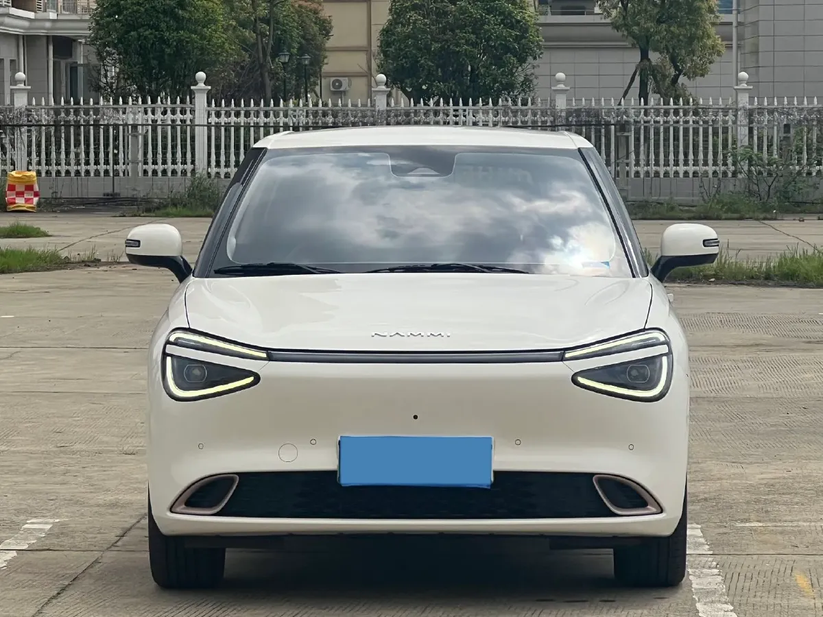 2024 DongFeng Nammi 01 BEV 42.3KWH,autocango,china used car exporter,china ev exporter,chinese used car exporter,chinese used ev exporter