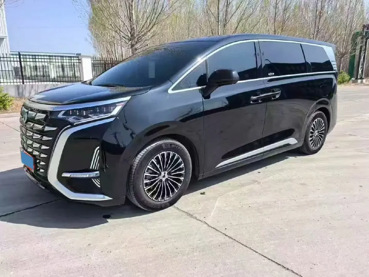 2024 Denza D9 1.5T 139HP L4 E-CVT PHEV 20.39KWH,autocango,china used car exporter,china ev exporter,chinese used car exporter,chinese used ev exporter