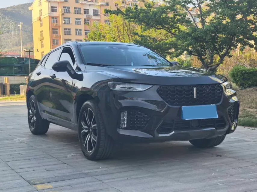 2019 WEY VV7 2.0T 227HP L4 7DCT,autocango,china used car exporter,china ev exporter,chinese used car exporter,chinese used ev exporter