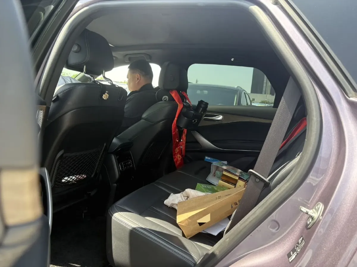 2020 Denza X 2.0T 192HP L4 6DCT PHEV 24KWH,autocango,china used car exporter,china ev exporter,chinese used car exporter,chinese used ev exporter