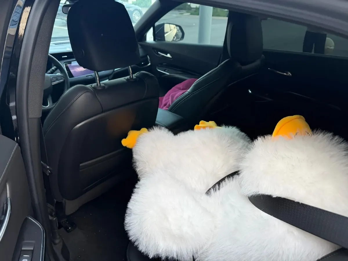 2023 Cadillac XT4 2.0T 237HP L4 9AT,autocango,china used car exporter,china ev exporter,chinese used car exporter,chinese used ev exporter